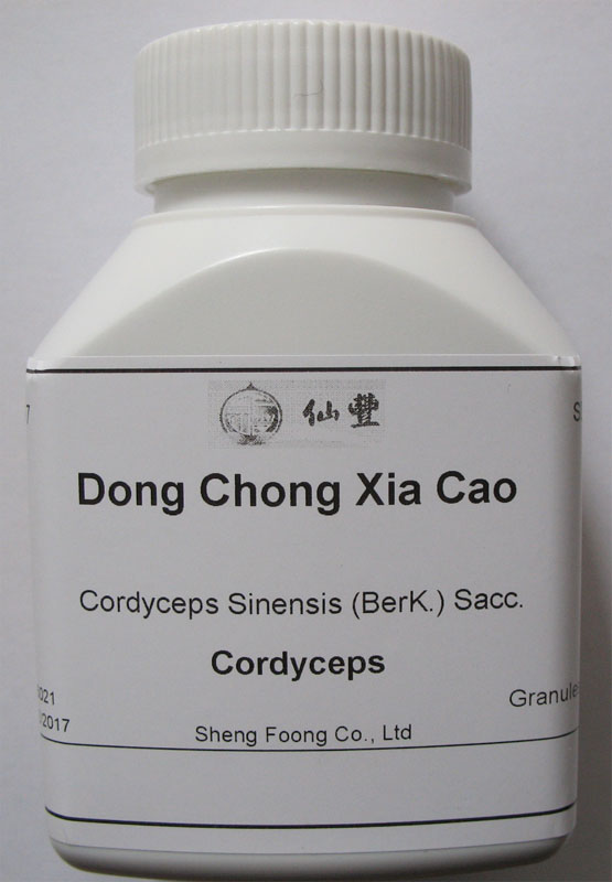 Dong Chong Xia Cao, Cordyceps, 100 G, Powder